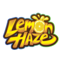Lemon Haze